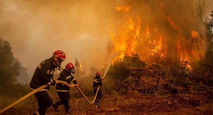 Concerning Forest Fires in Algeria: Secretary General Confirms Solidarity With Algeria