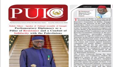 PUIC Bulletin No. 33 Summer 2025
