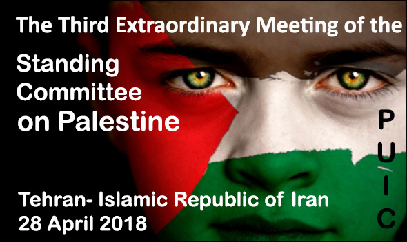 The Third Extraordinary Meeting of the Palestine Committee