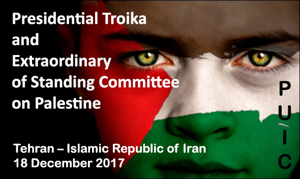 Members of the Meeting of the Presidential Troika and the Extraordinary Meeting of the Standing Committee on Palestine