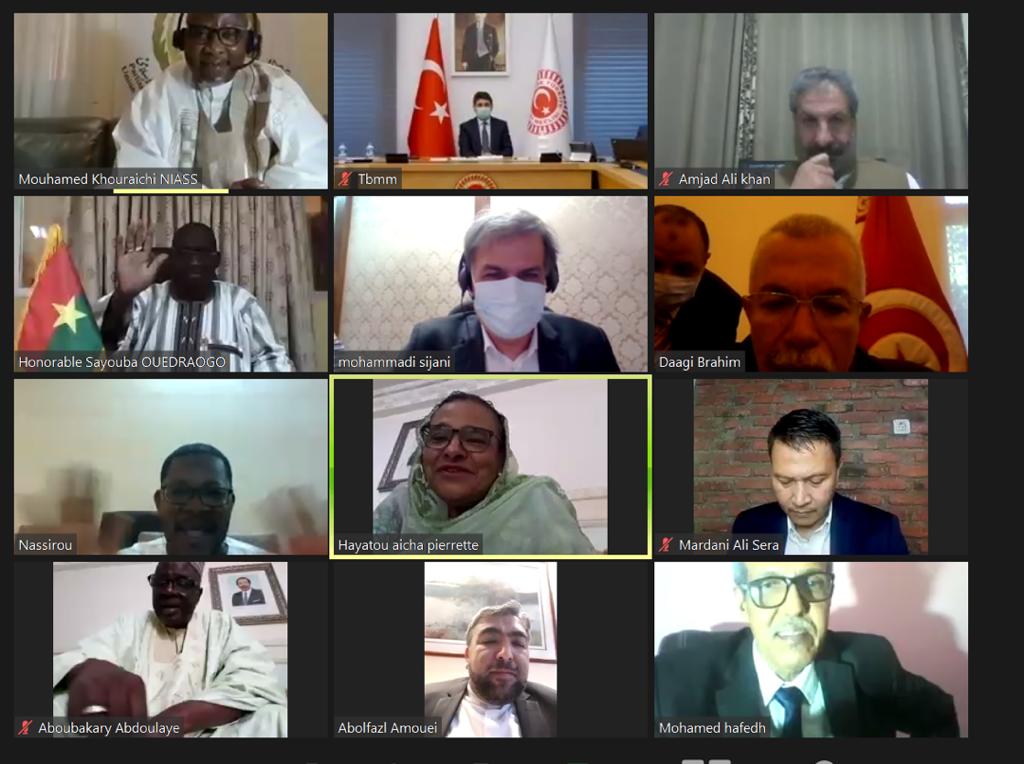 Second Virtual Meeting through the Web (Webinar) of the PUIC Executive Committee