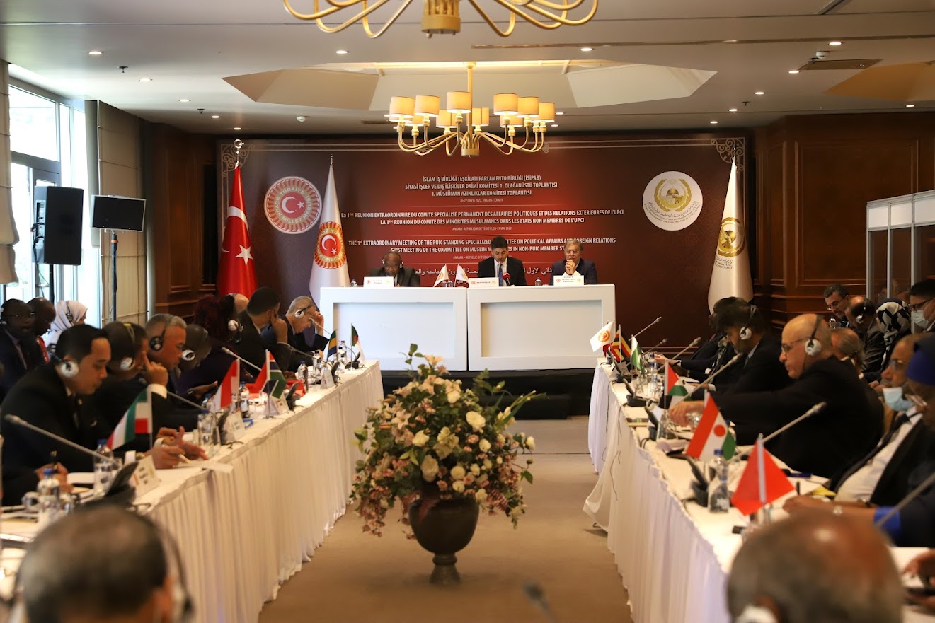 الاجتماع الاستثنائي الأول للجنة المتخصصة للشؤون السياسية والعلاقات الخارجية