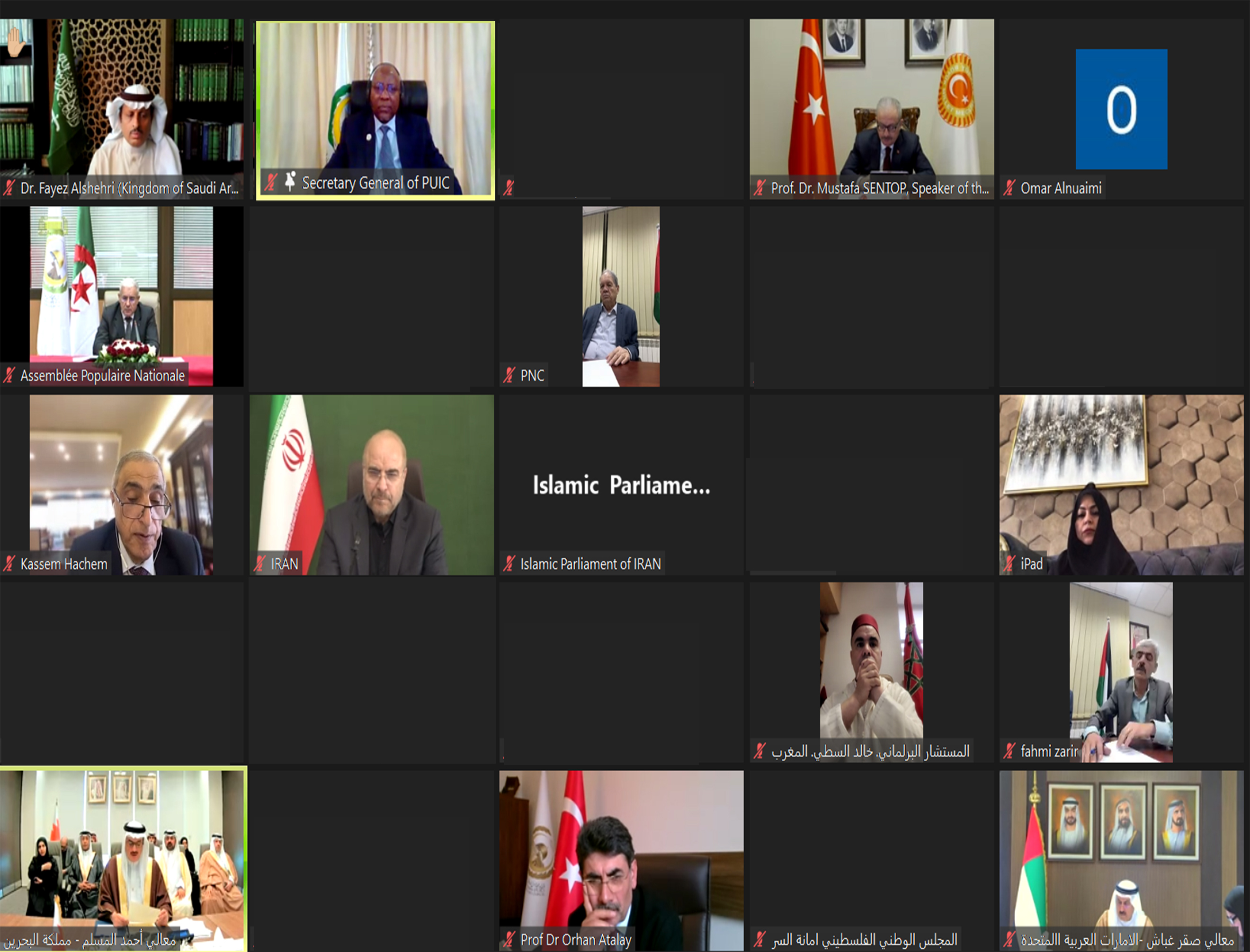 الاجتماع الطارئ الافتراضي للاتحاد حول فلسطين 