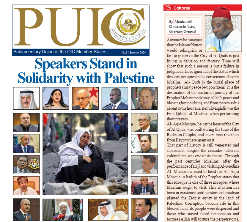 PUIC Bulletin No. 31 Summer 2024