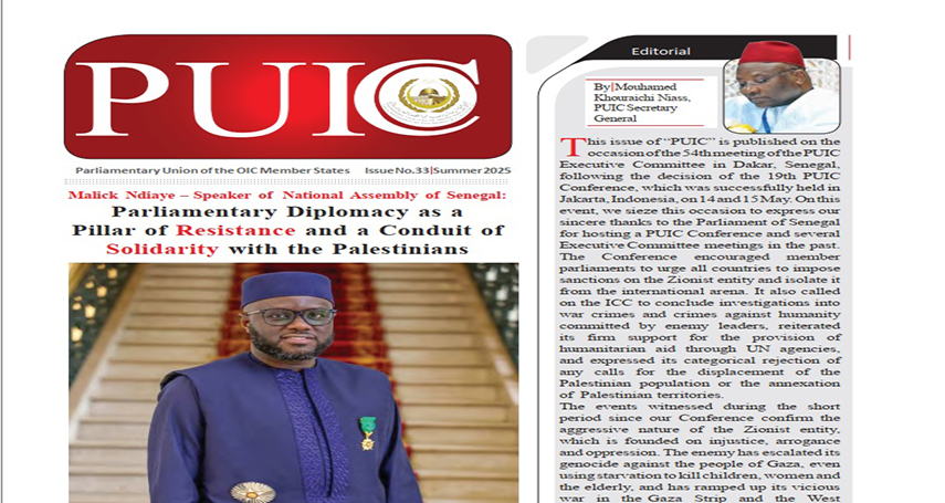 PUIC Bulletin No. 33 Summer 2025